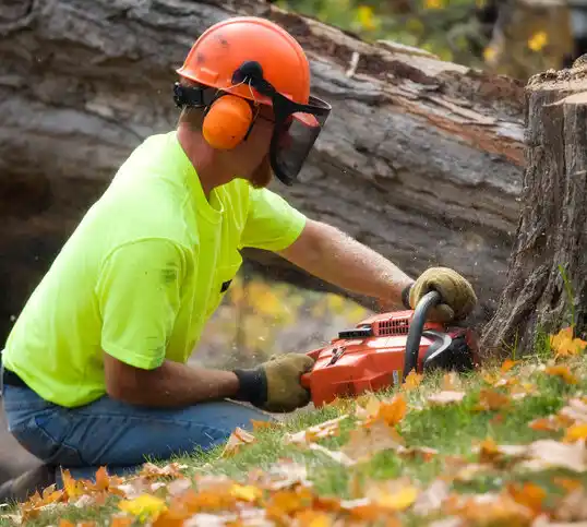 tree services Pecos